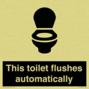 this-toilet-flushes-automatically~